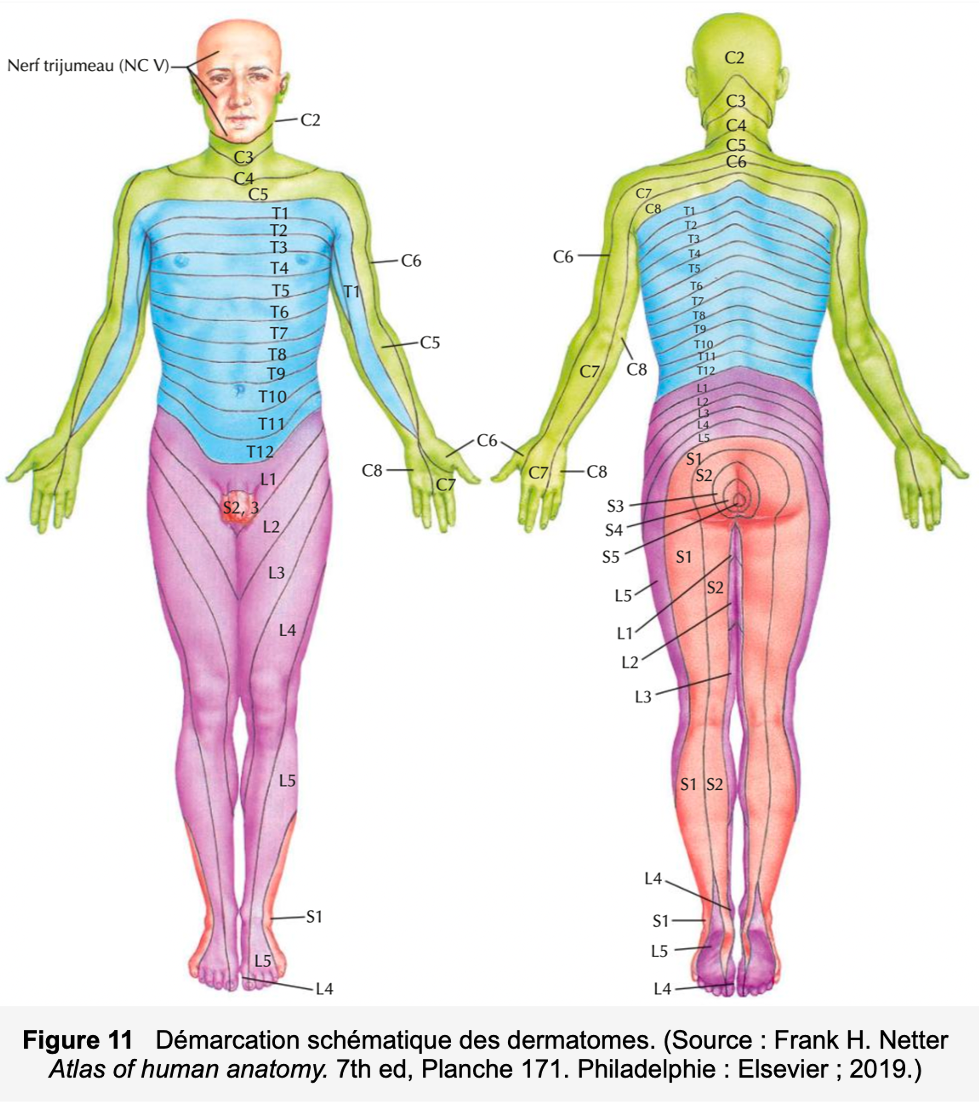 image11